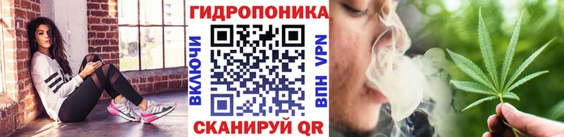 Бошки Шишки ГИДРОПОН Окуловка